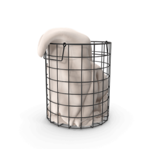 Cleaning and Laundry